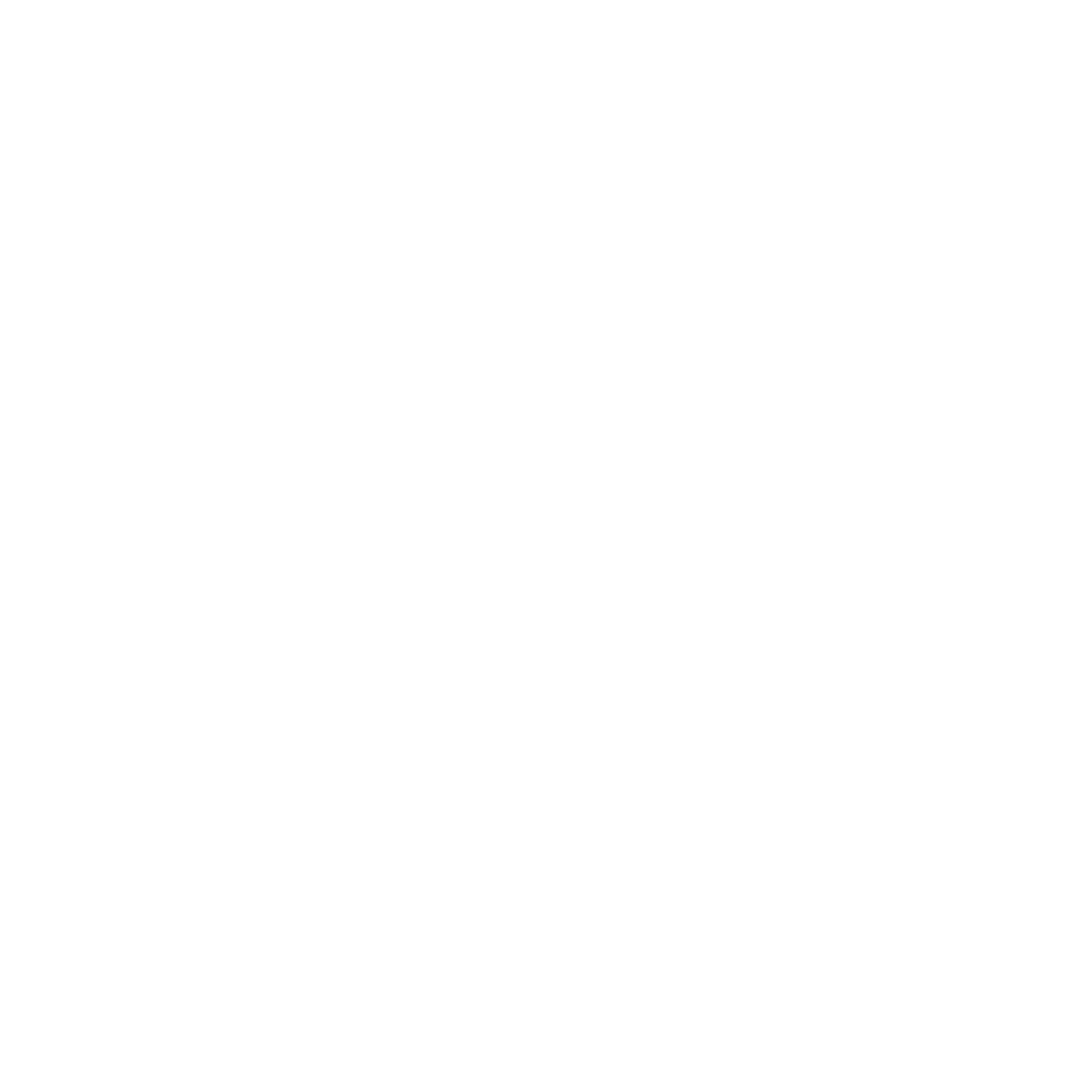 Selecta Agency